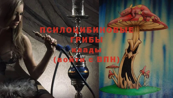 дживик Магас