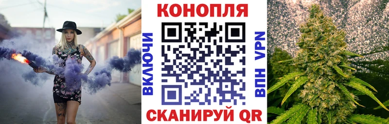 Купить где  Зея  Канабис сатива 
